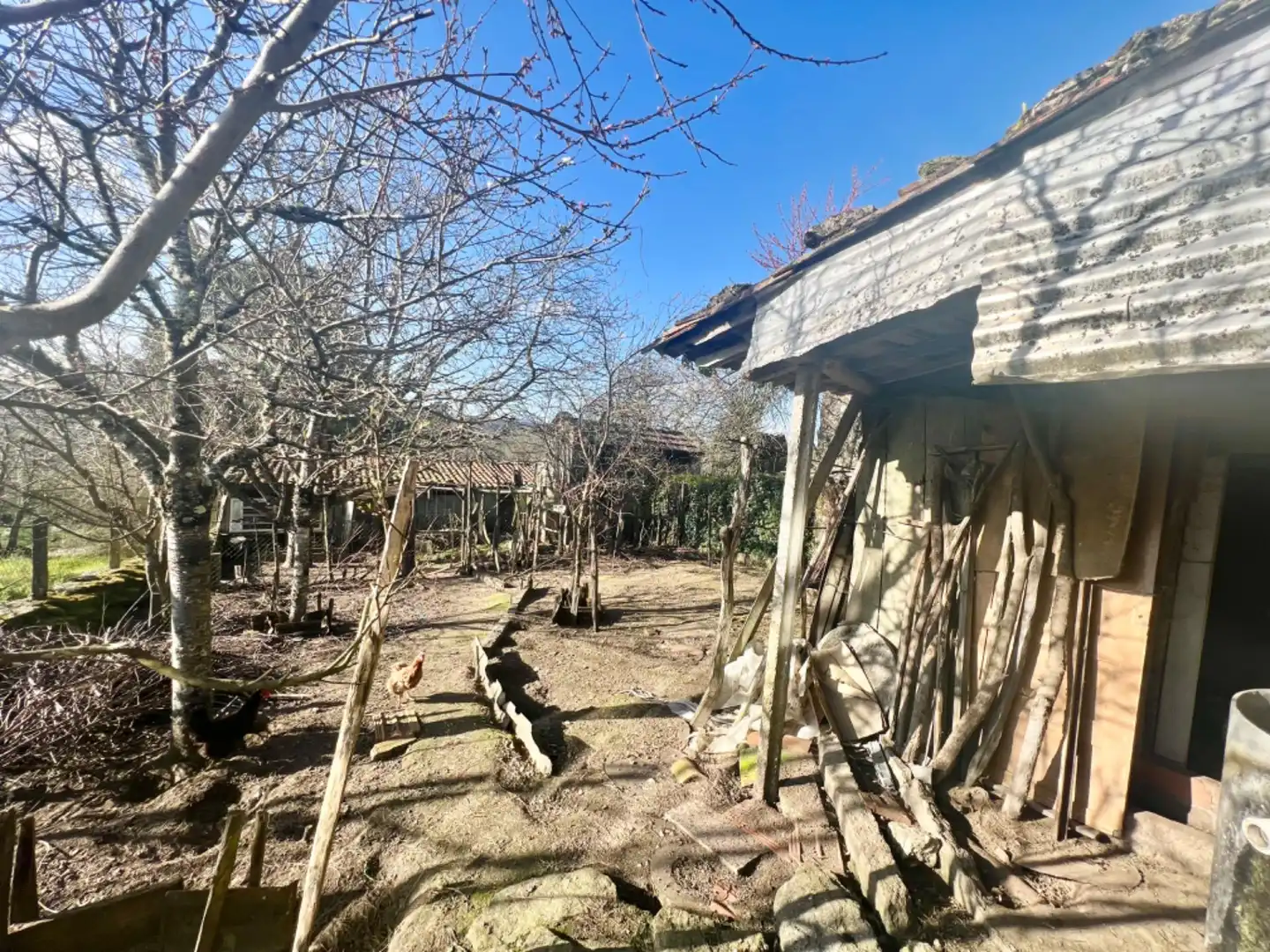 Casa amb terrassa en venda a Amoeiro, imagen 2