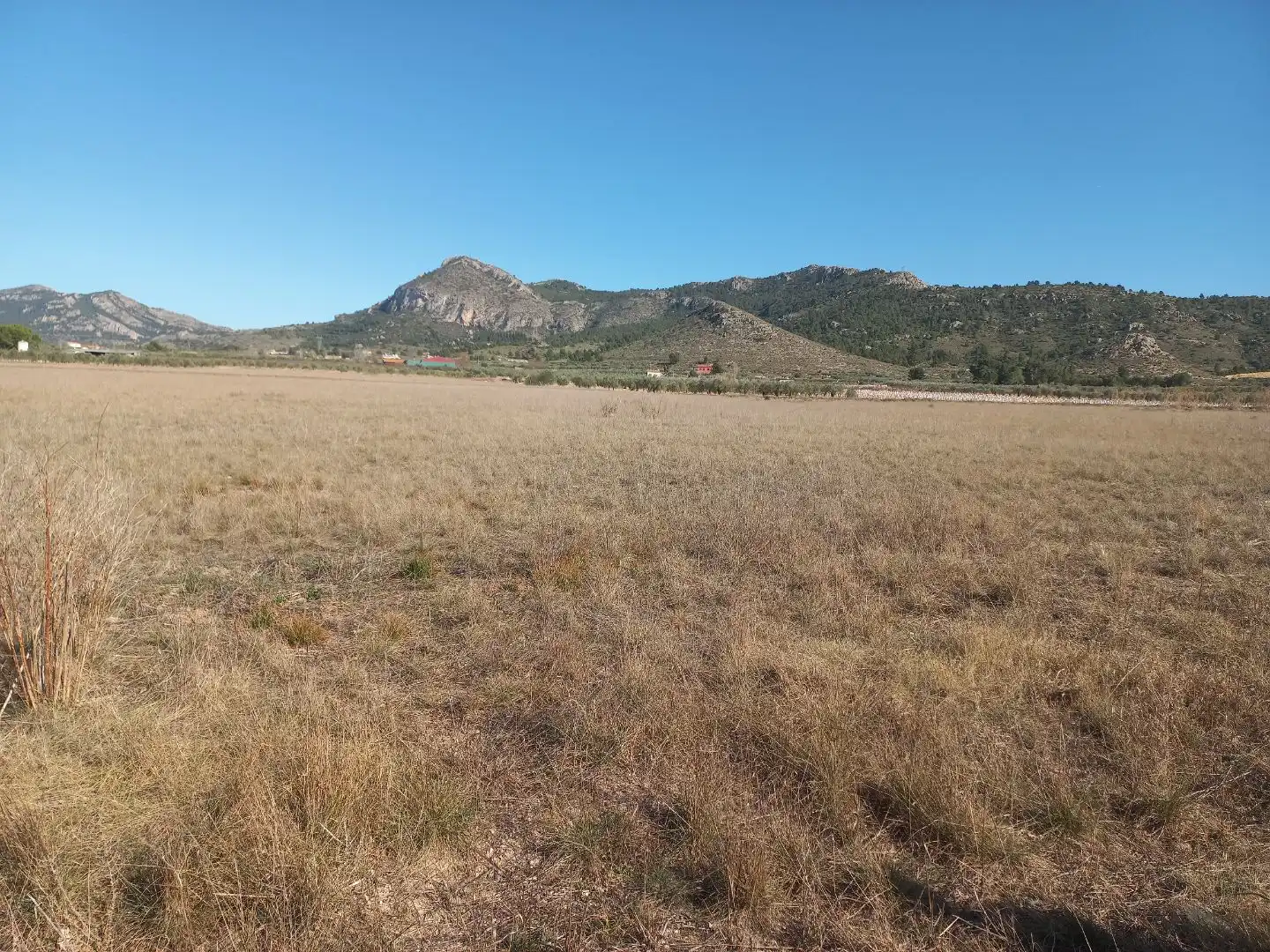 Land for sale in Villena