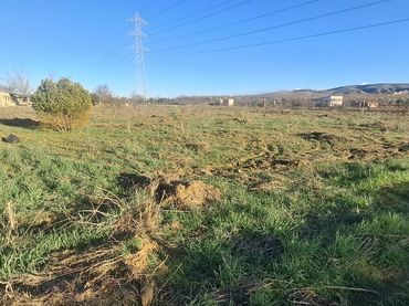 Terreno rustico in vendita a Ribera del Tajo