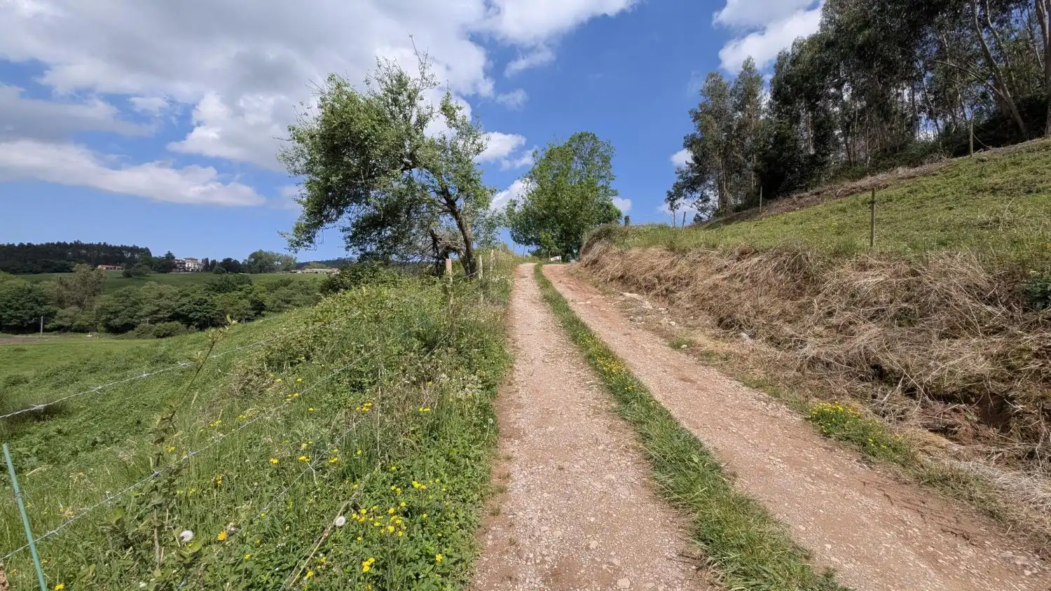Country homes for sale in Piélagos