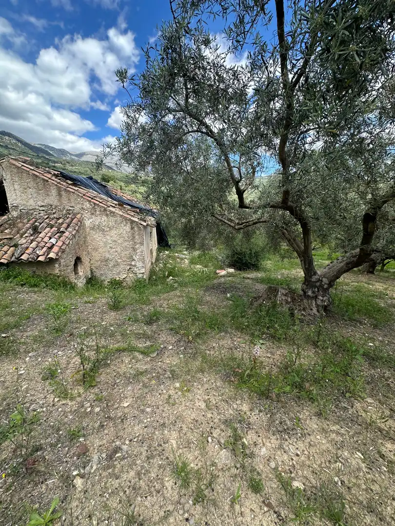 Terreni e lotti in vendita a Periana, imagen 34