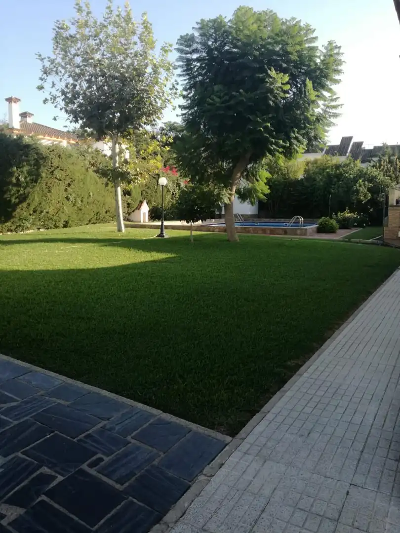 Houses for sale in Bonanza - Avda de Huelva - Barrio Andalucia