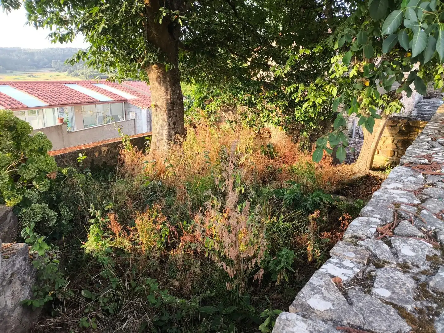 Country homes for sale in Ponteceso
