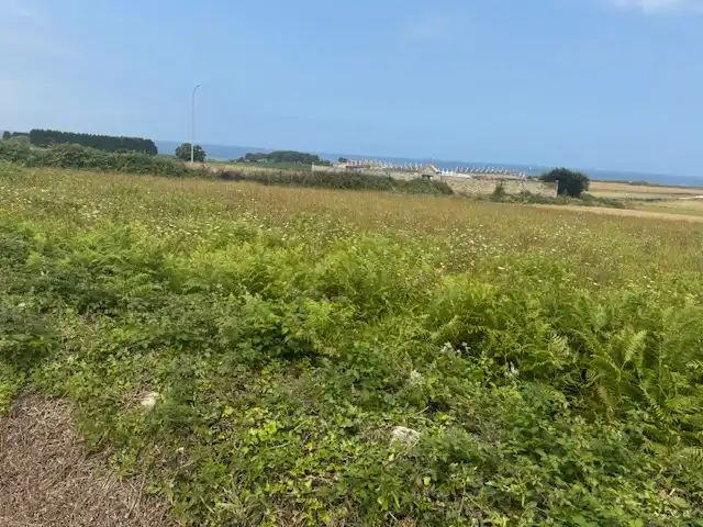 Residential zum Verkauf in Ribadeo
