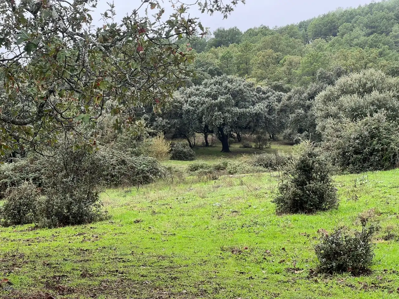 Grundstücke zum Verkauf in Lanzahíta