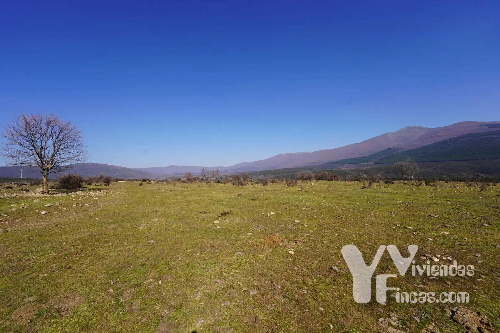 Terreno rústico en venta en Campillo de Ranas, imagen 12