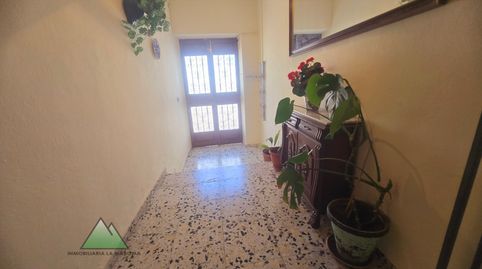 Foto 4 de Piso en venta en Zafarraya, Granada