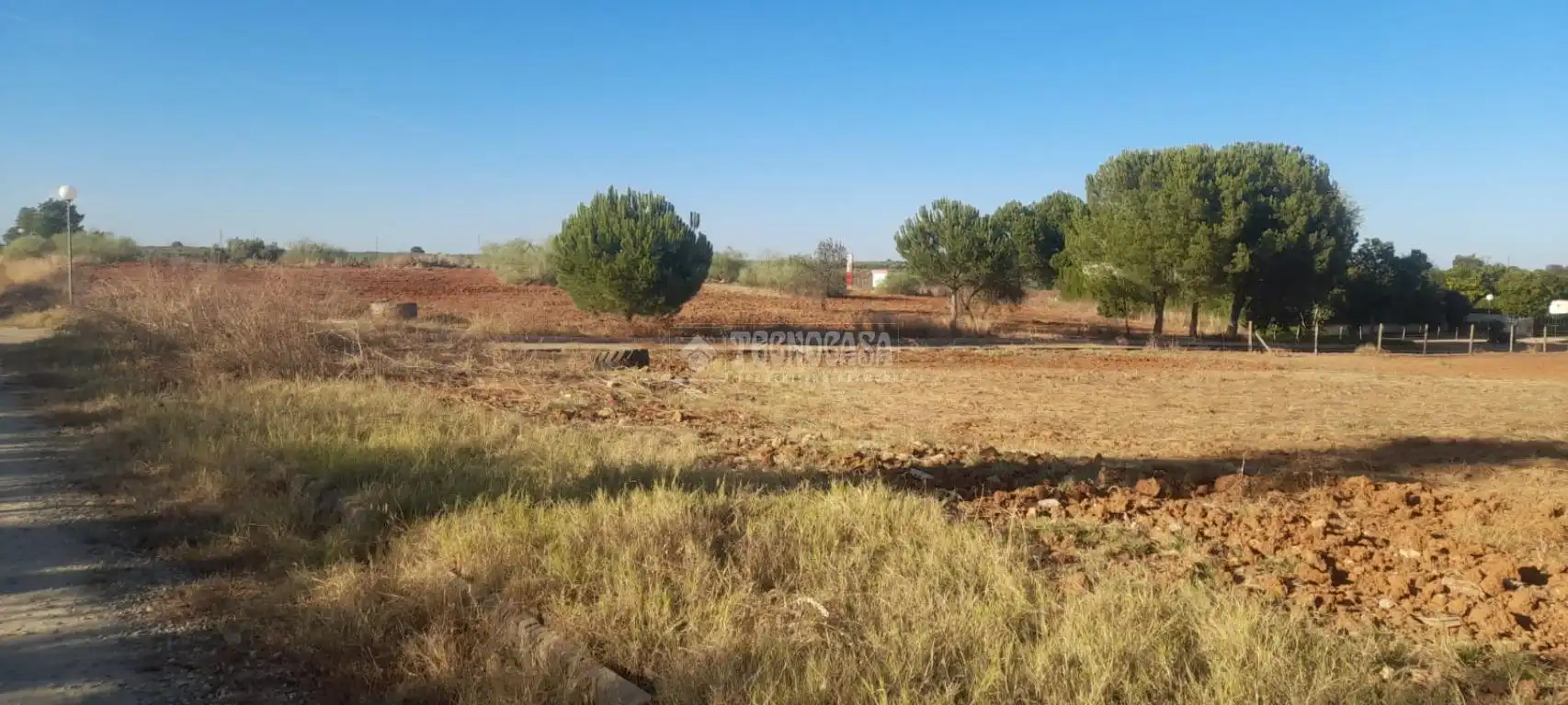 Finca rústica en venta en Aznalcázar