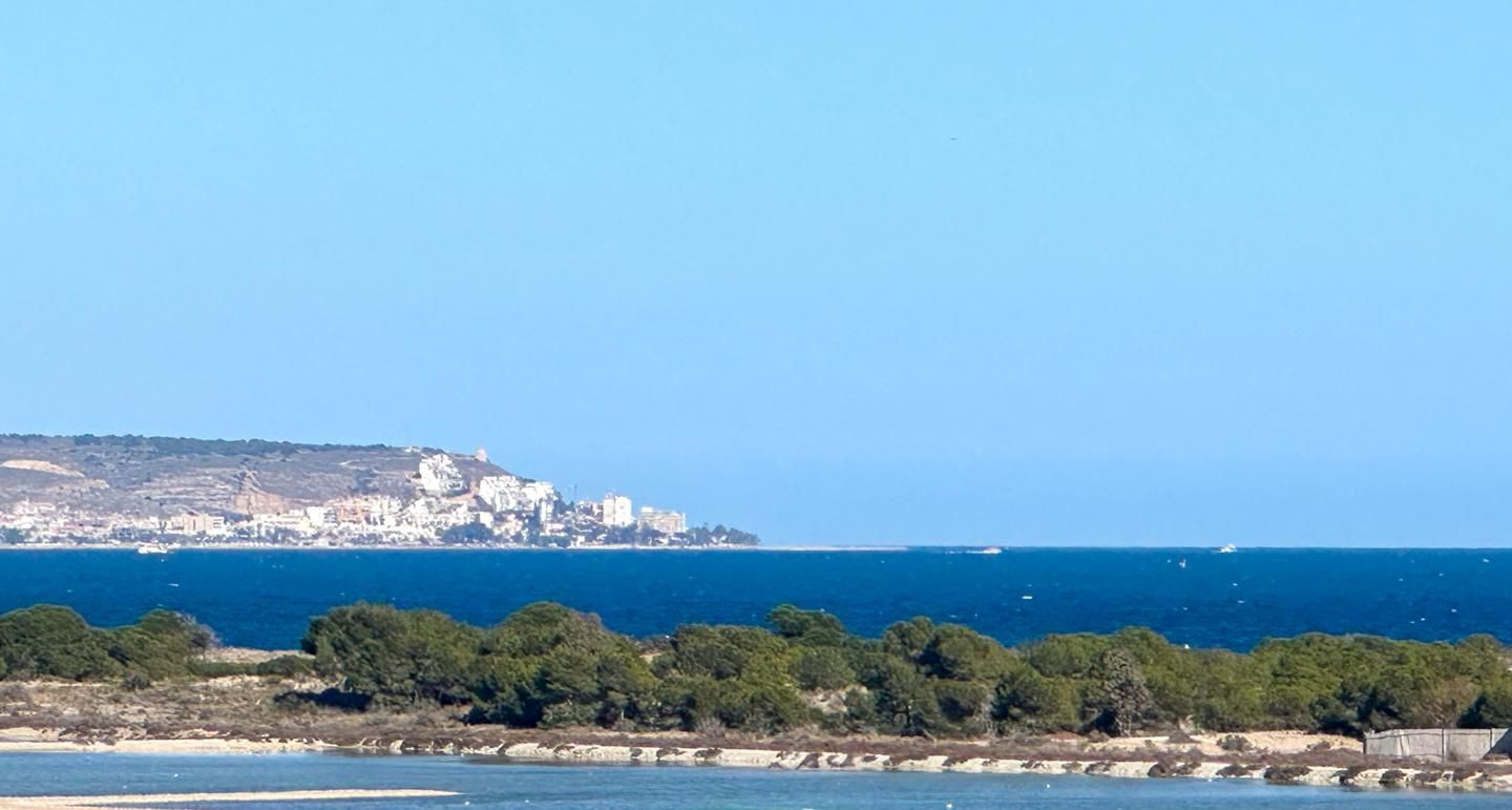 Exterior view of House or chalet for sale in Elche / Elx  with Air Conditioner, Private garden and Terrace