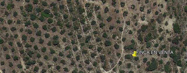 Terreno en Venta en Archidona