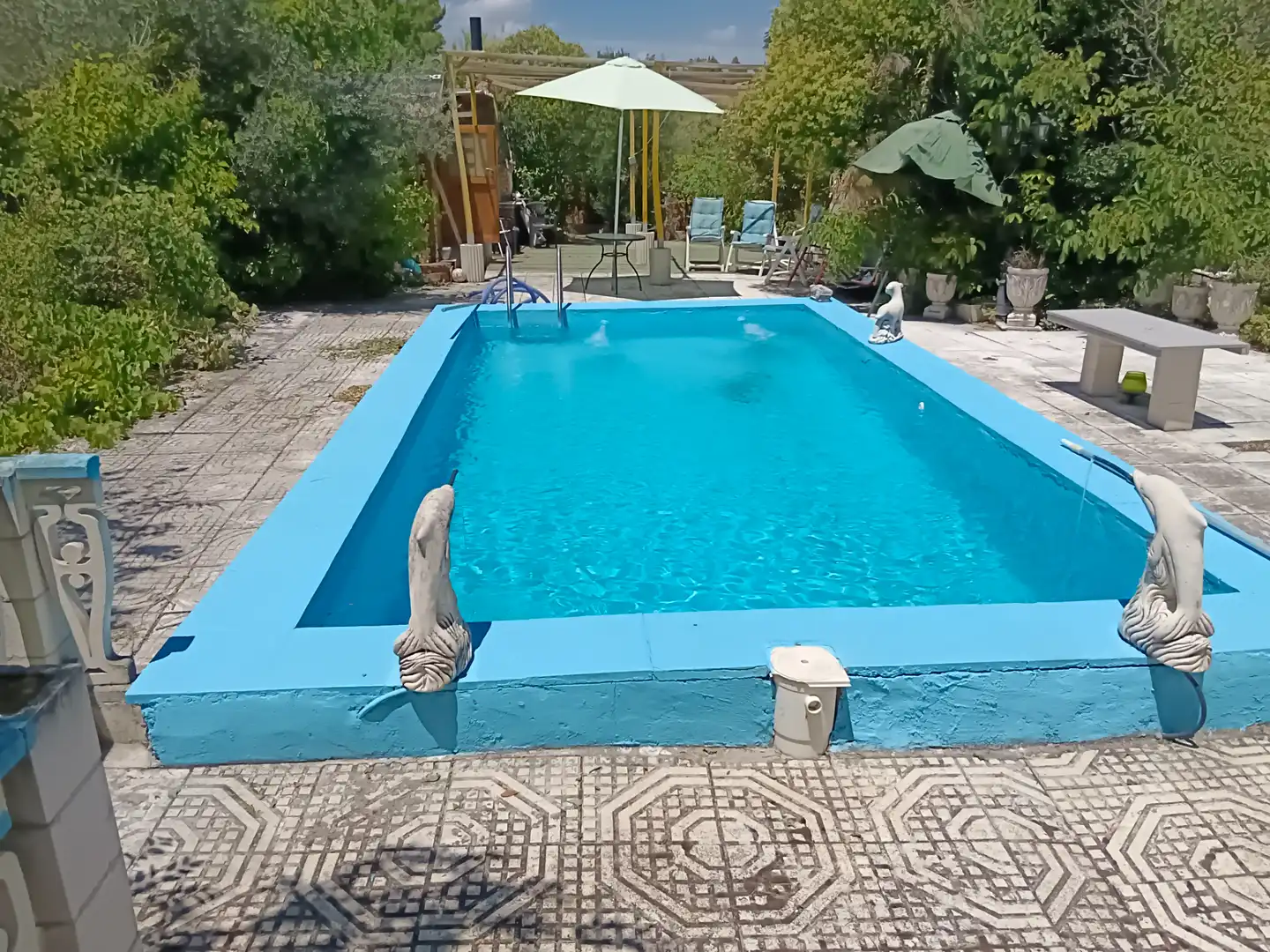 Piscina de Casa o xalet en venda en Illana amb Jardí privat, Terrassa i Piscina