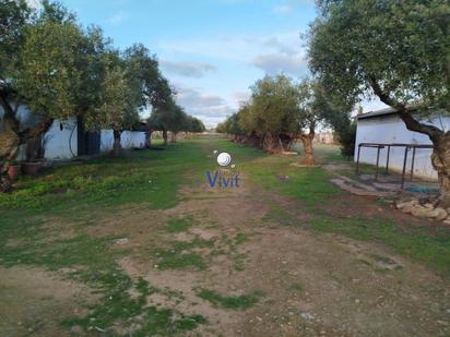 Finca rústica en venda en Alcalá de Guadaira