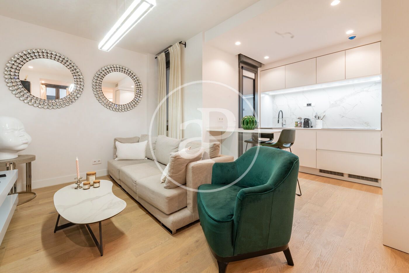 Living room of Flat to rent in  Madrid Capital  with Air Conditioner, Heating and Furnished