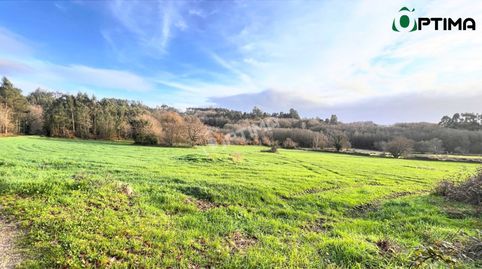 Casa con finca grande en ayuntamiento de Lalín, immagine 3