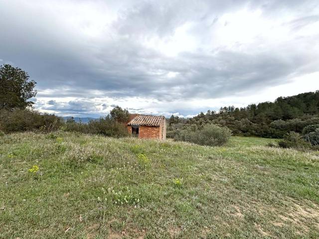 Terreno en Venta en Ascó