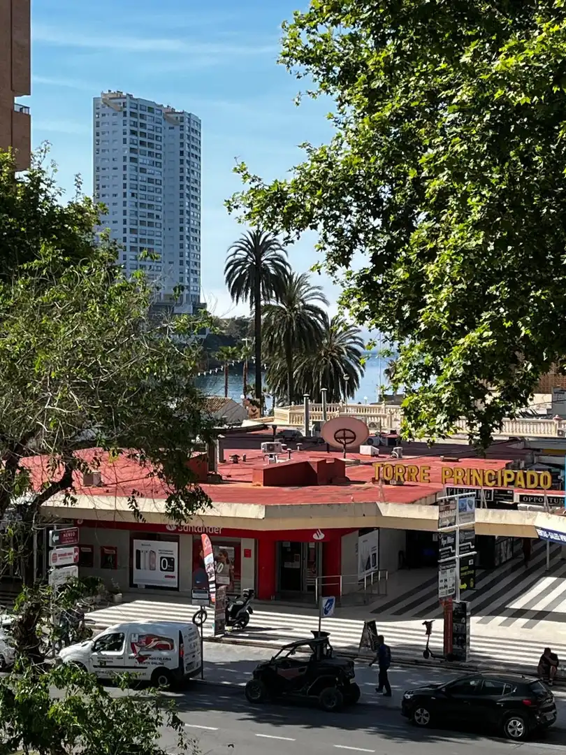 Piso con piscina en venta en Avenida MEDITERRANEO DEL, imagen 3