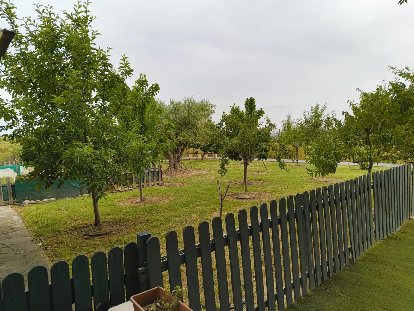 Terreno rustico in vendita a Calahorra, imagen 22