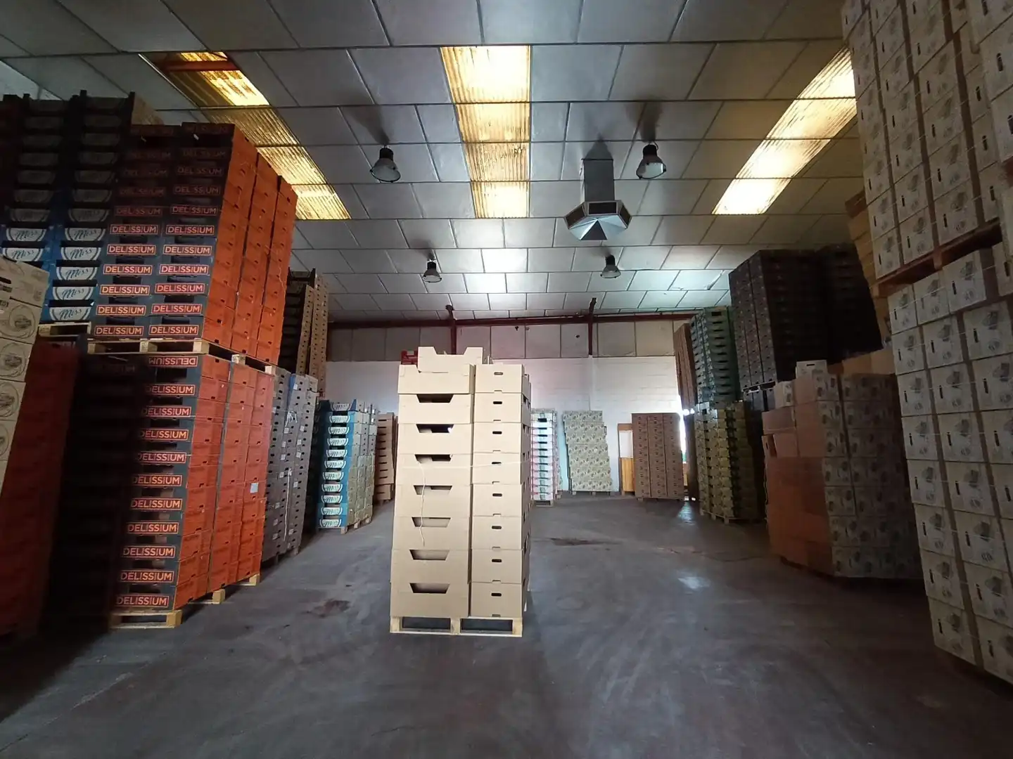 Nave industrial en venta en Villaconejos