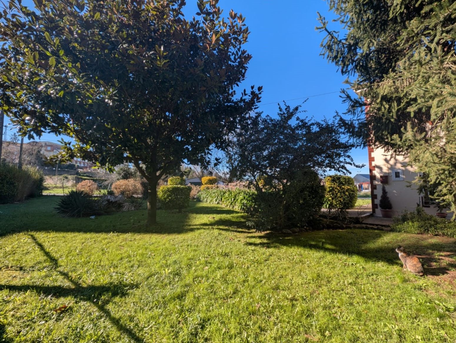 Jardí de Casa o xalet en venda en Piélagos amb Calefacció, Parquet i Traster