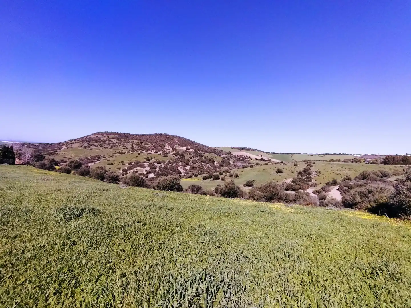 Terreni e lotti in vendita a Vejer, imagen 25