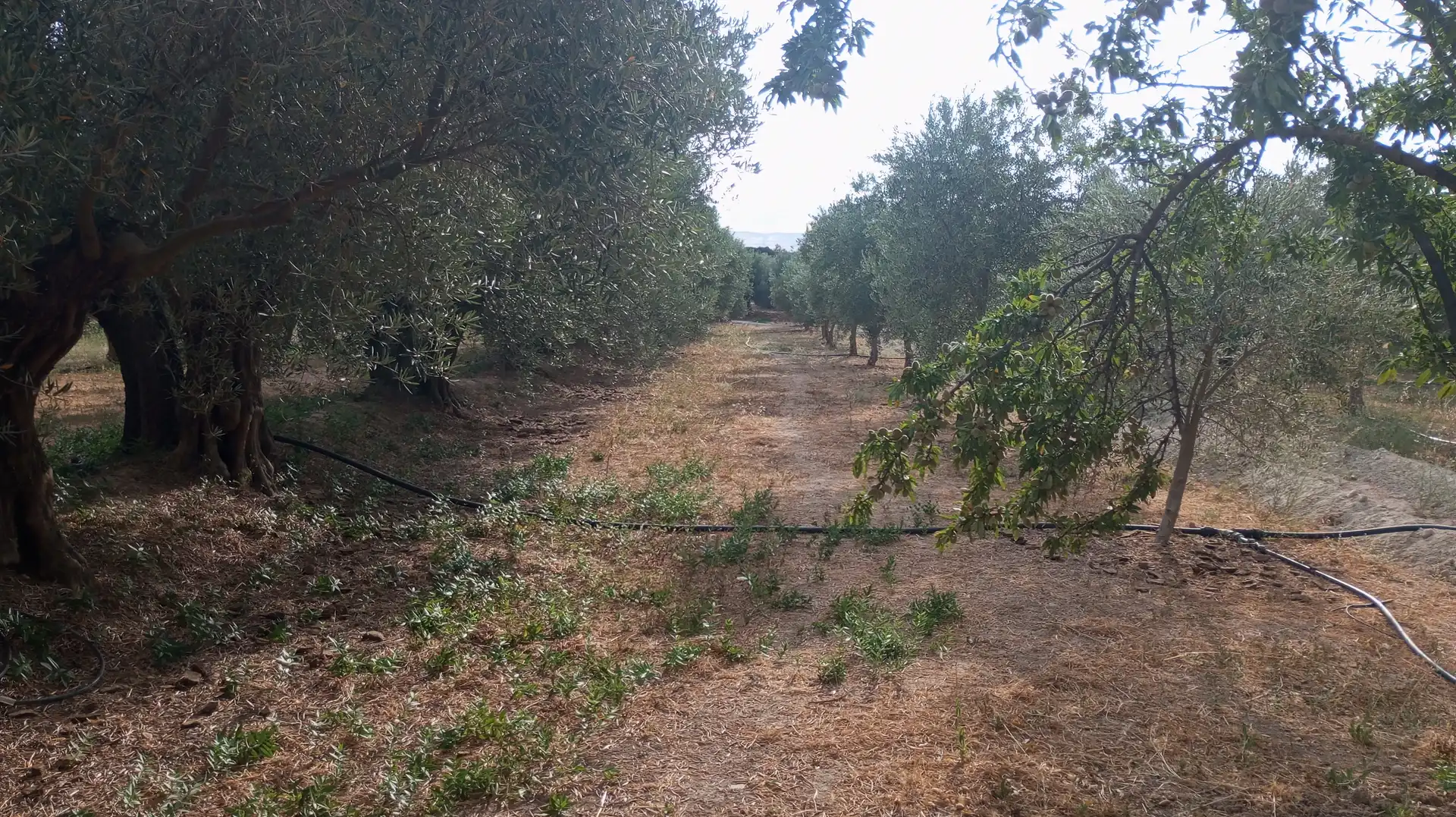 Xalet en venda a Baza, imagen 13