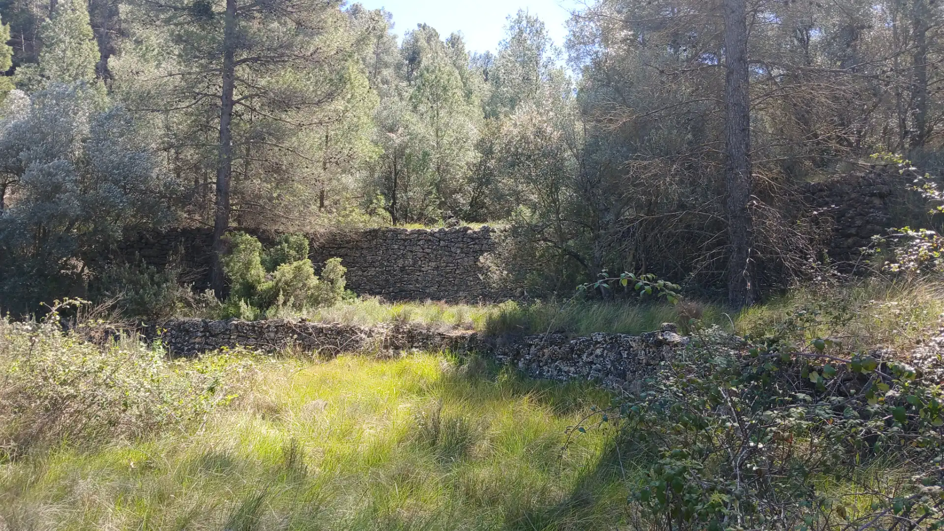 Terreno en venta en Fórnoles