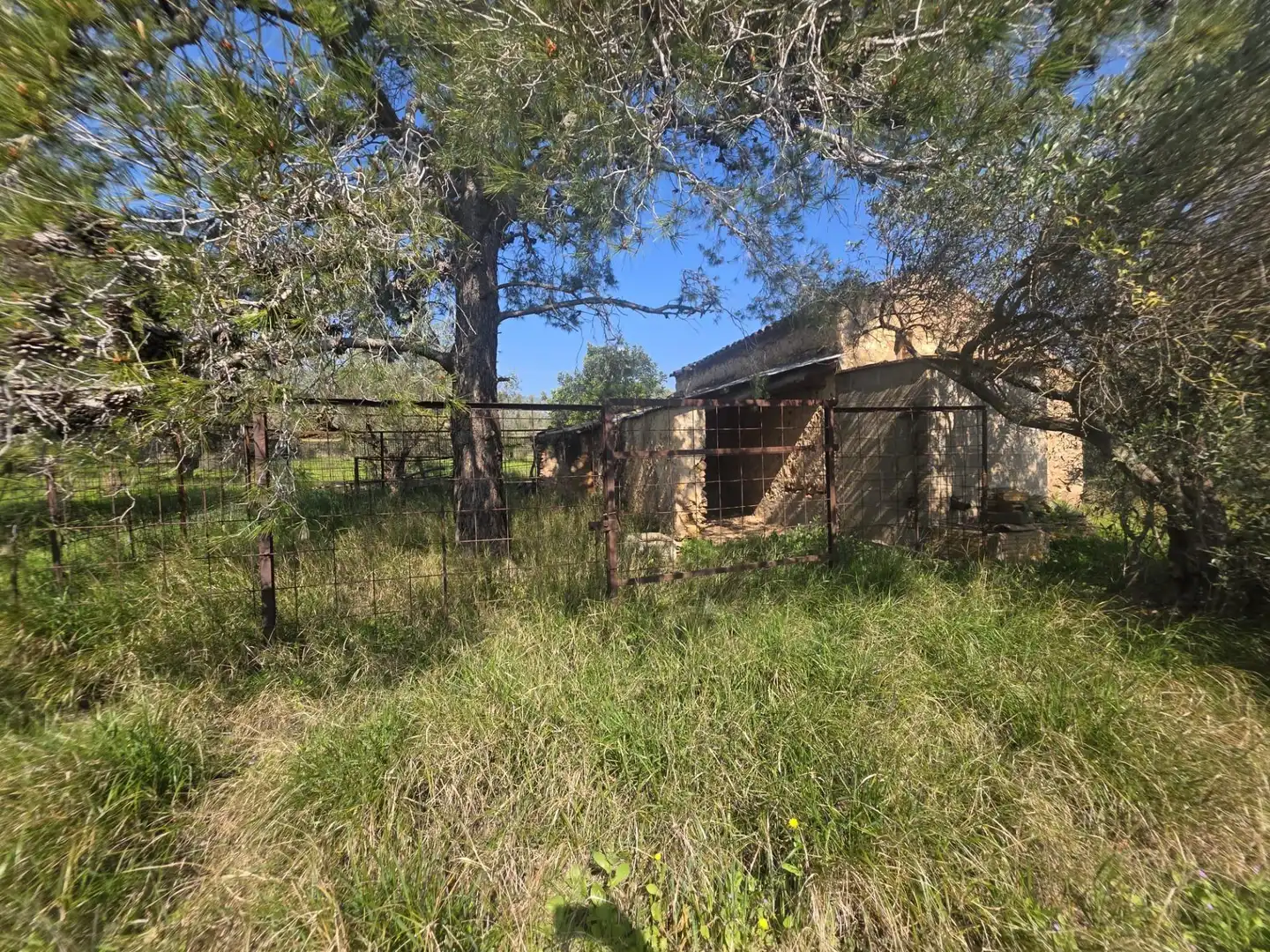 Terreno rustico in vendita a del Polígon Industrial 'La Ravaleta', imagen 63