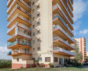 Exterior view of Flat for sale in Sant Pere Pescador