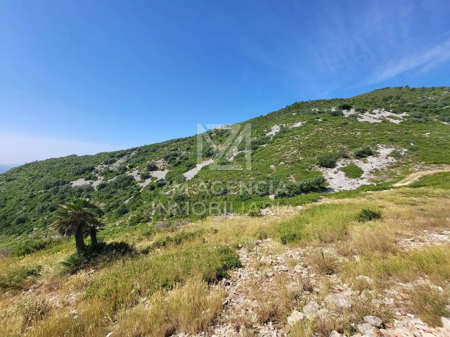 Terreno rustico in vendita a Canet lo Roig, imagen 18