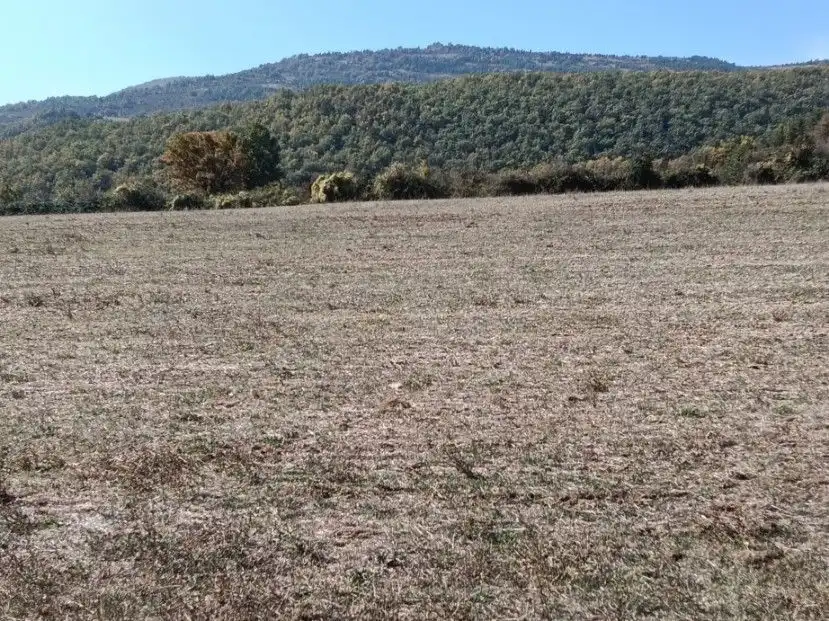 Terreni e lotti in vendita a calle alta, imagen 22