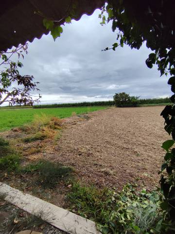 Terreno en Alquiler en N/A en Tàrrega