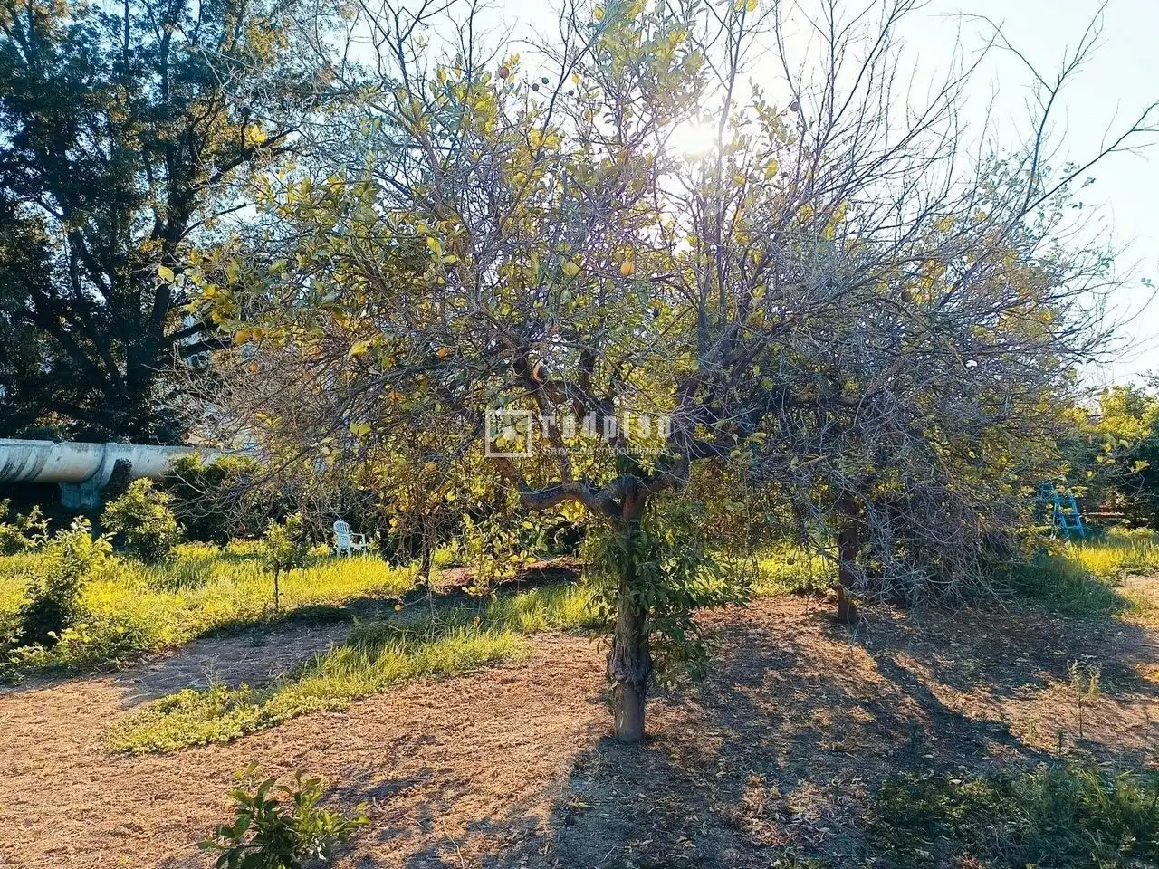 Grundstücke und Bauplätze zum Verkauf in Antigua Fábrica Harina, imagen 9