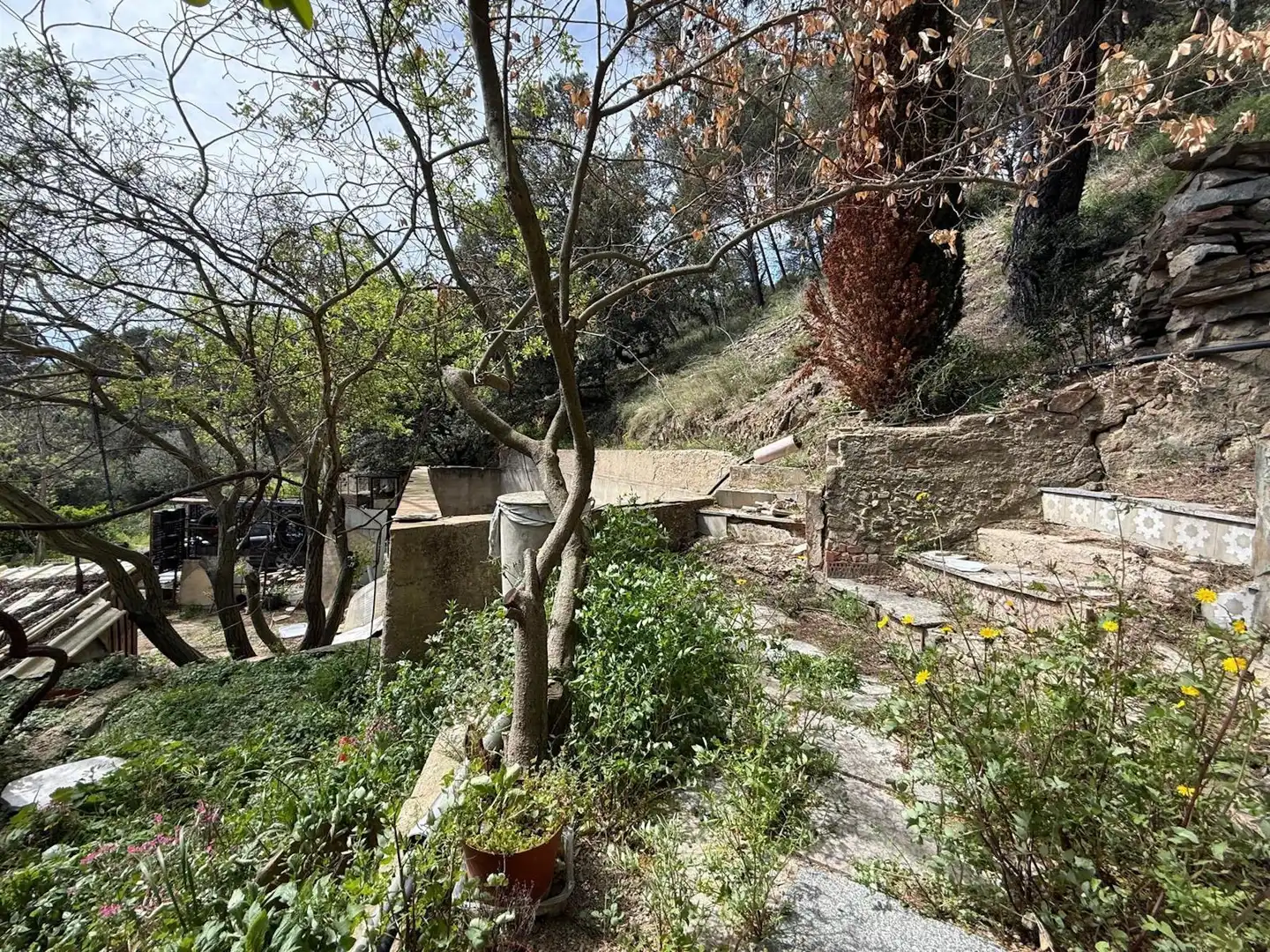 Maison avec jardin à vendre à Riudecols, imagen 4