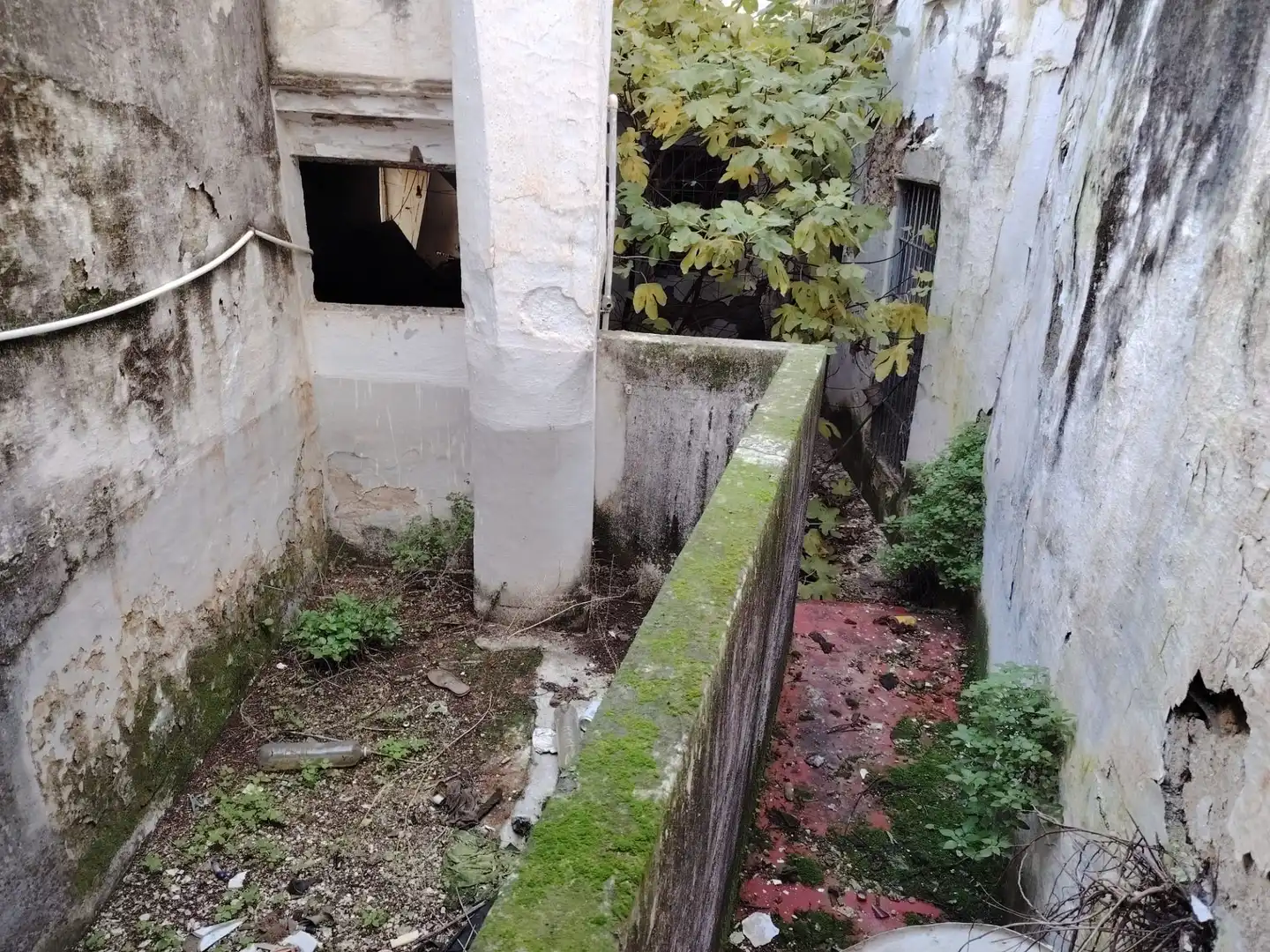 Inmuebles singulares en venta en Coín, imagen 23