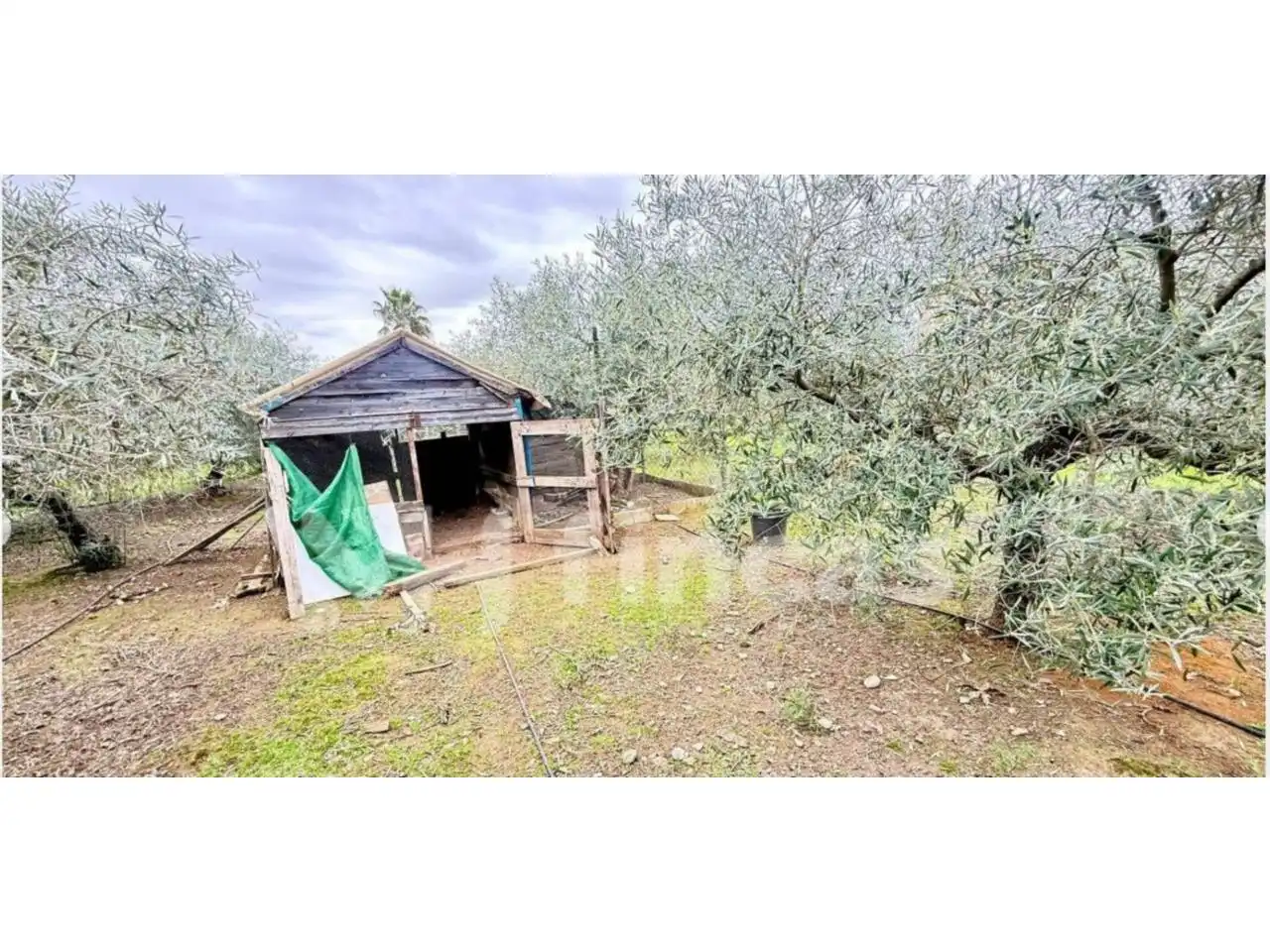 Chalet en venta en Urbanizacion Mata de las Naranjillas, imagen 20