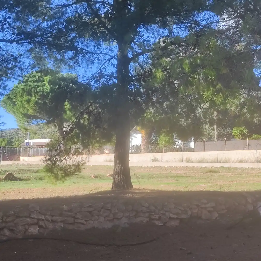 Houses for sale in Totana  with Terrace, Furnished and Oven