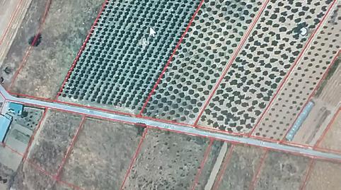 Foto 2 de Terreno en venta en Calle Ayuntamiento, 25, Guadalmez, Ciudad Real