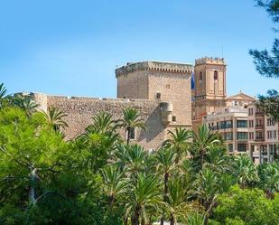 Exterior view of Flat for sale in Elche / Elx