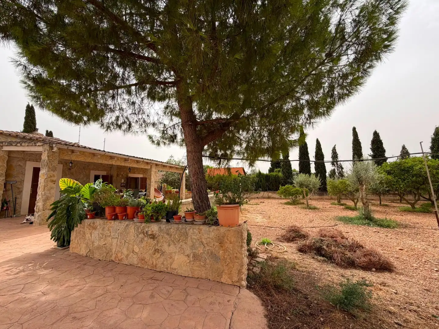 Jardín de Finca rústica en venta en Consell con Aire acondicionado, Jardín privado y Terraza