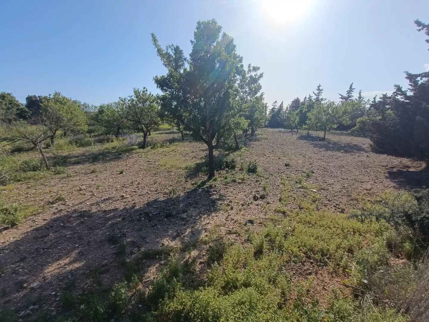 Finca rústica en venda a Pasaje la Esperanza, 21, Alumbres - Escombreras