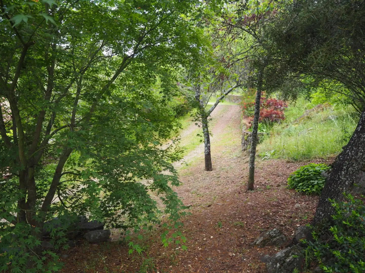 Houses for sale in Madroñera - LAS ANIMAS, Madroñera