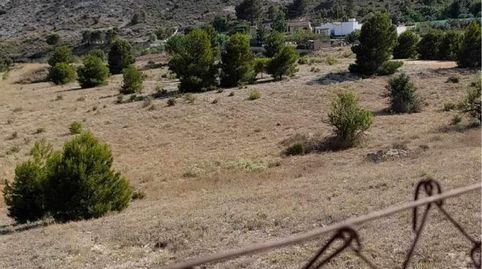 TERRENO RÚSTICO DE 40.000 M2 DE PARCELA EN CAMARA CON AGUA EN ELDA, image 3
