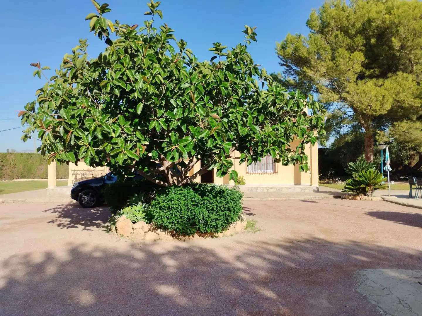 Villa con piscina in vendita a Norte, imagen 36