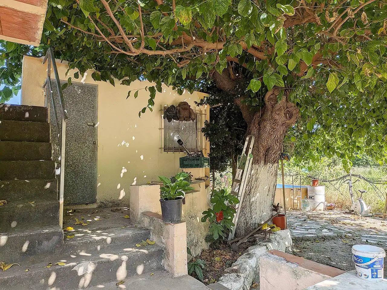 Terreny rústic en venda a La Foia, imagen 15