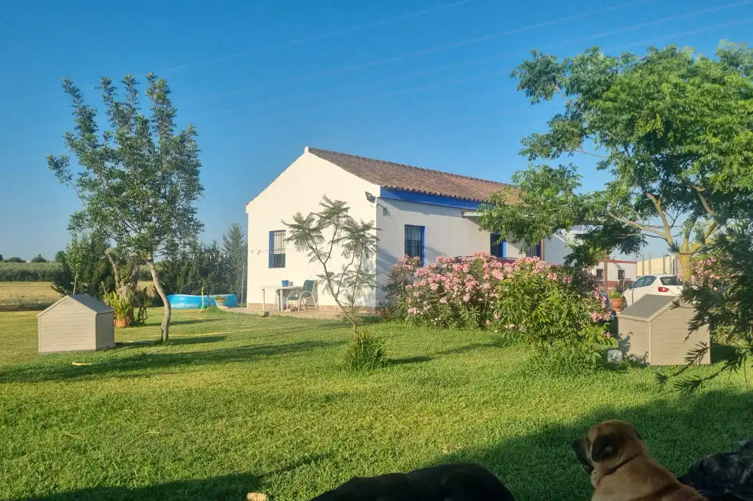 Terreno rustico in vendita a Asdrúbal - Bahía Blanca