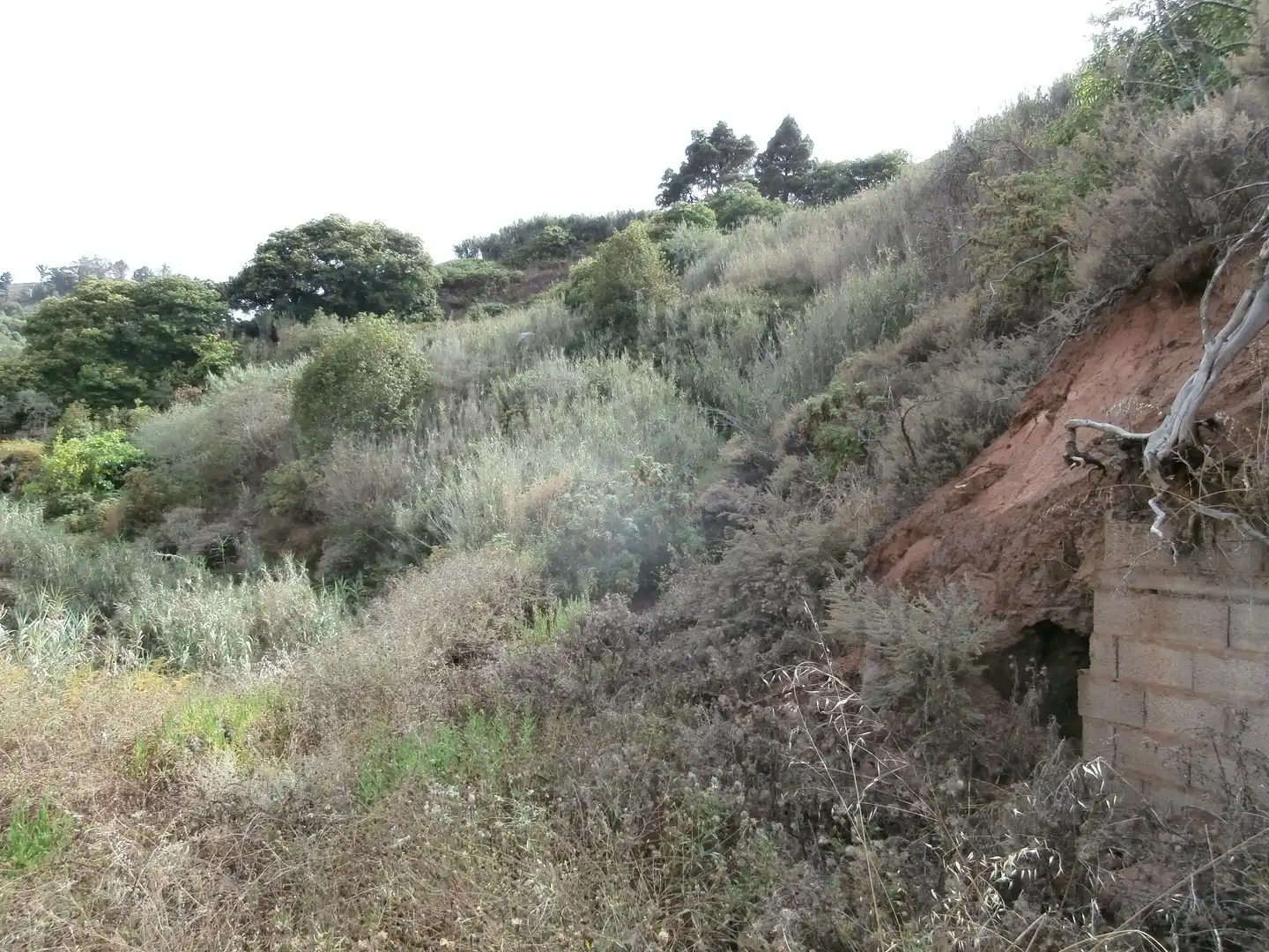 Finca rústica en venta en Camino Lomo el Marco, 41, Moya (Las Palmas)
