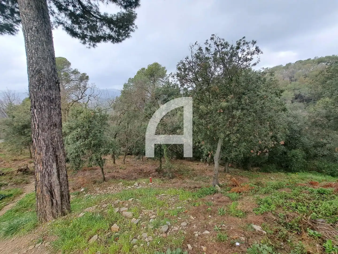 Grundstücke zum Verkauf in Canigo, Molins de Rei