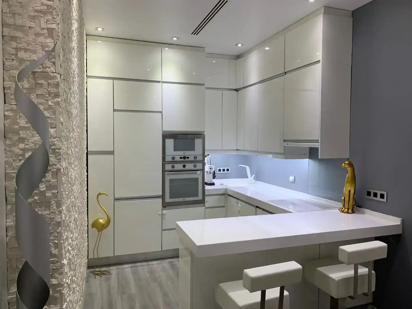 Cuina de Dúplex de lloguer en Madrid amb Aire condicionat, Parquet i Moblat