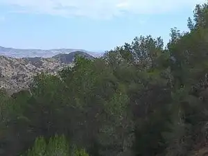 Terreny rústic en venda a Tibi, imagen 19