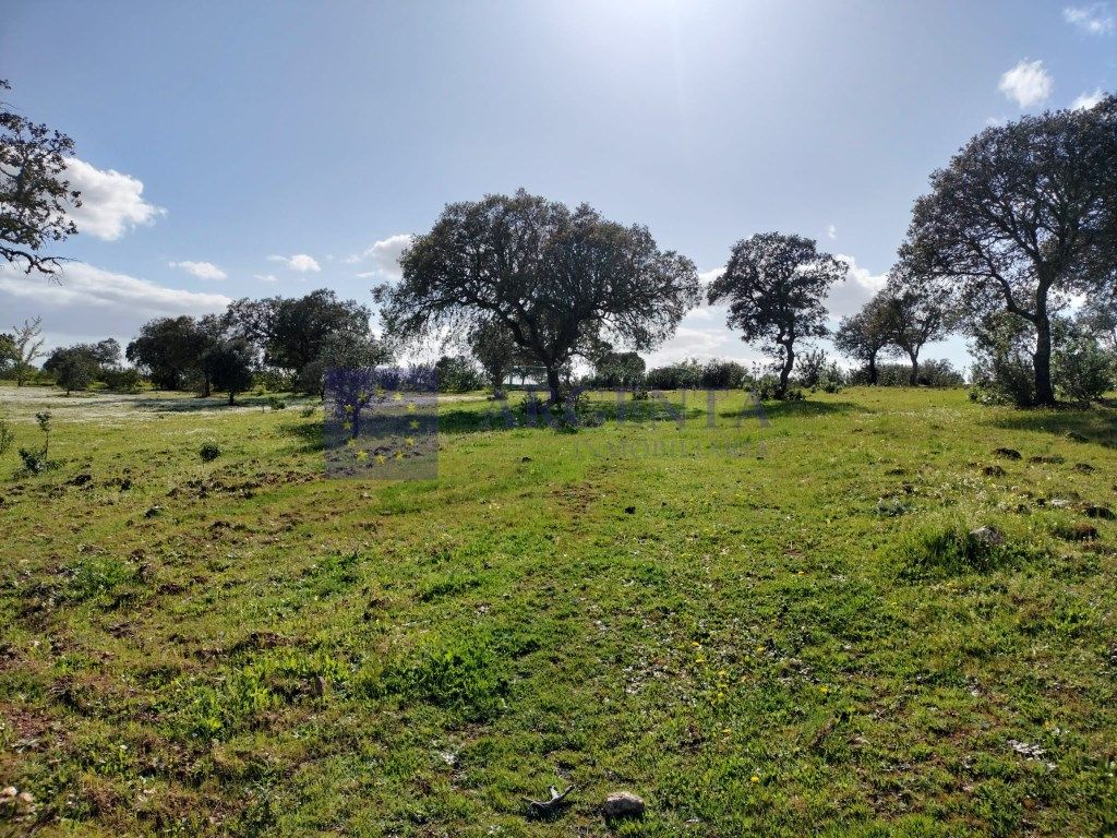 Casa o chalet en venta en Membrío